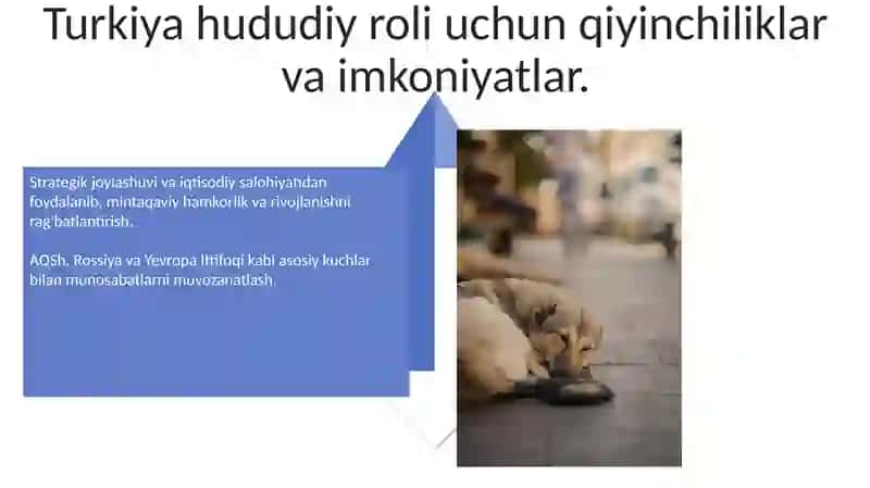 Mintaqaviy geosiyosiy voqelikda Turkiyaning roli 4