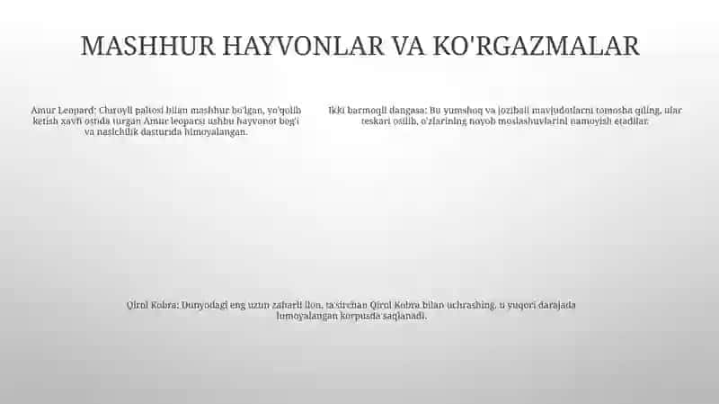 Kanada Hayvonat Bog'I 4