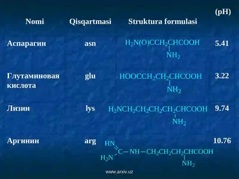 Aminokislota va oqsillar 4
