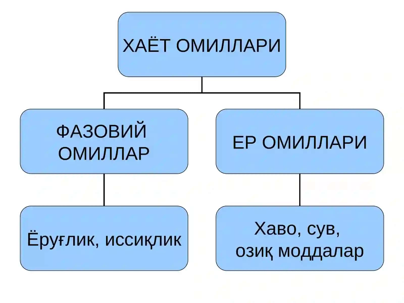 Ўсимликларнинг Хаёт Омиллари 4
