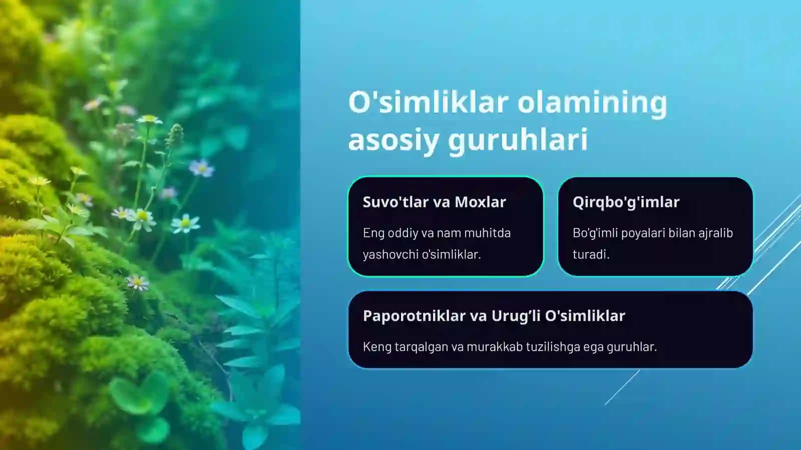 O‘simliklarning xilma-xilligi: Kirish 4