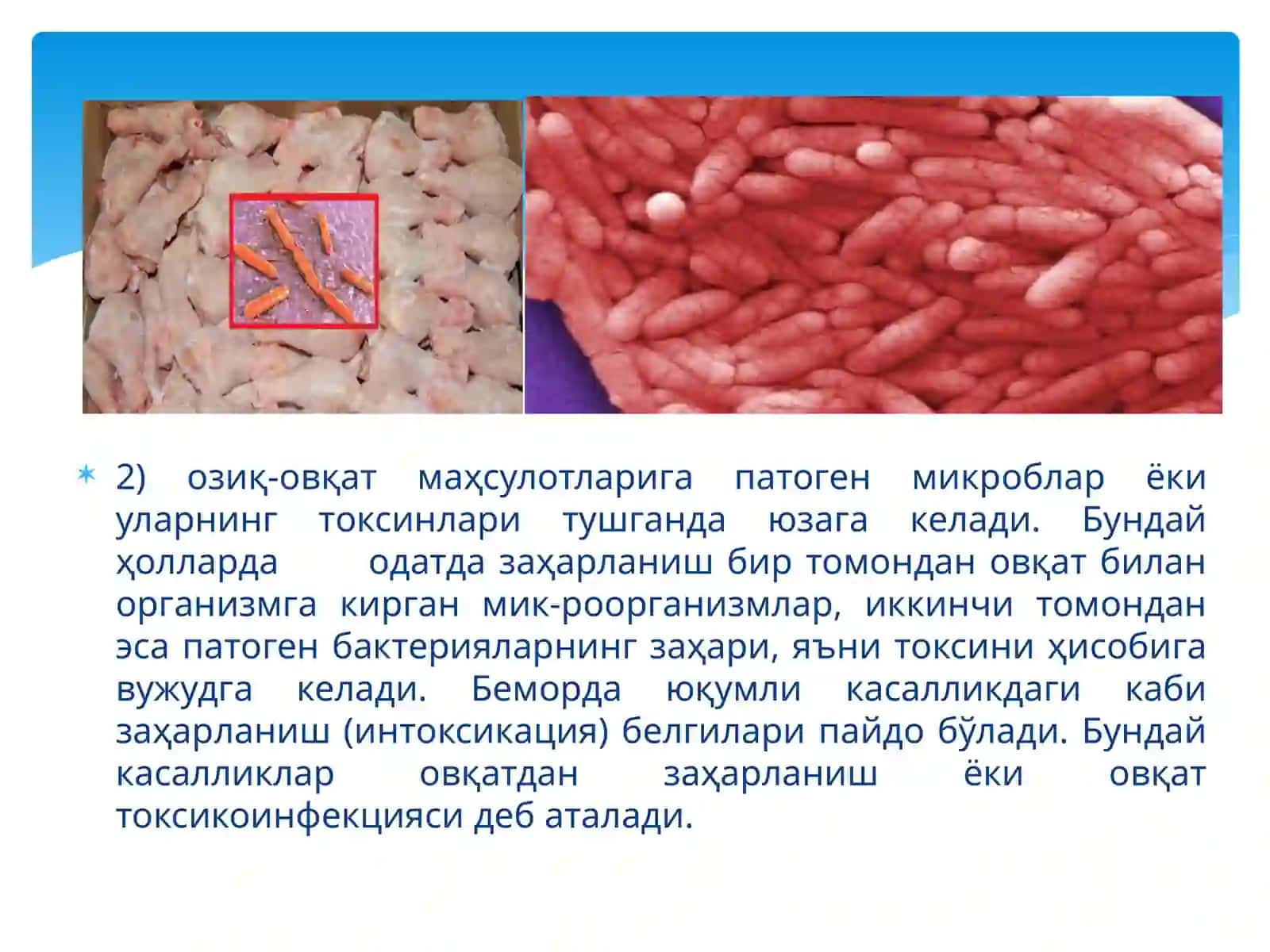 Сальмонеллалар 4