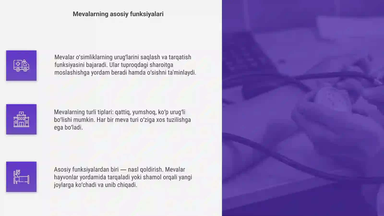 Mevalarning tuzilishi va tiplari 4