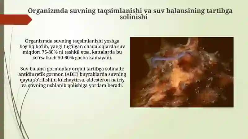 Oʻrganizmningsuv-disperssistemasi 4