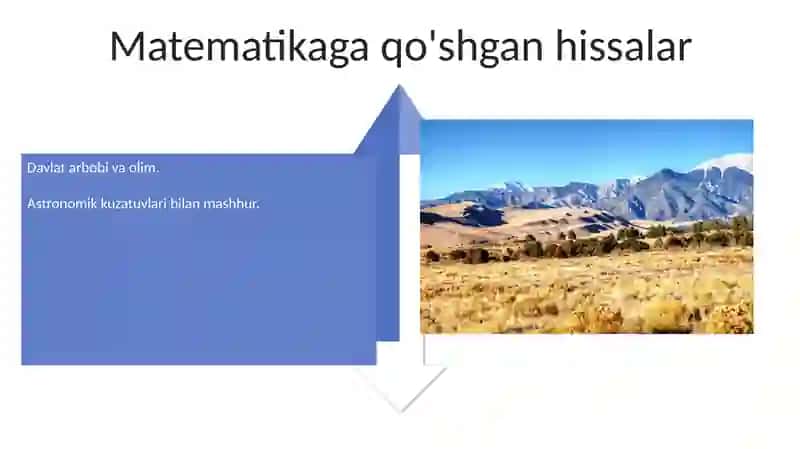 Mirzo Ulug'bek: Davlat Arbobı 4