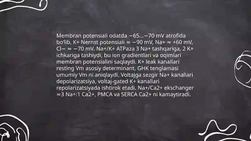 Nerv tizimining xususiy fiziologiyasi 4