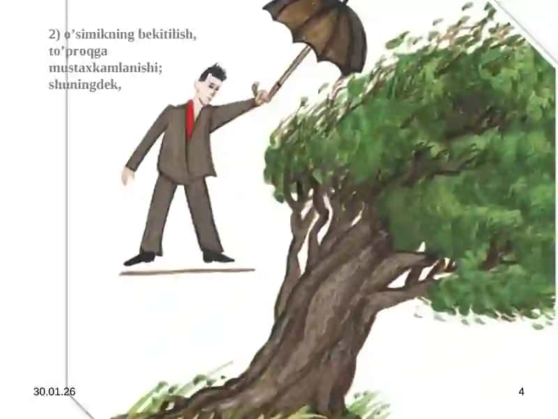 Ildiz va uning vazifasi, ildizning turlari 4