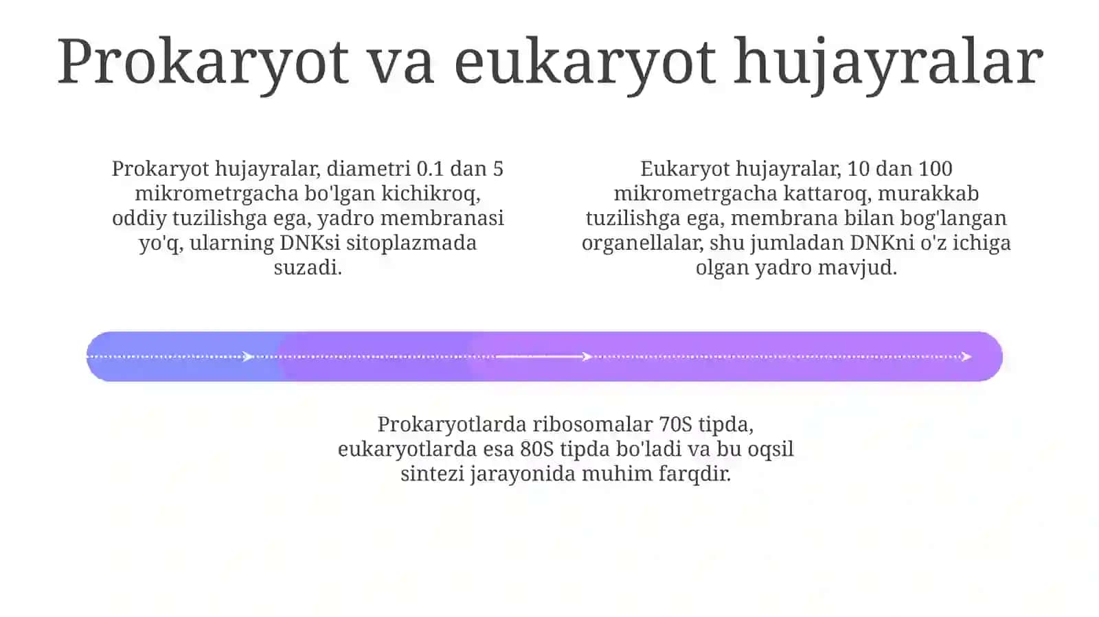 Teri tuzilishi va funksiyasi 4