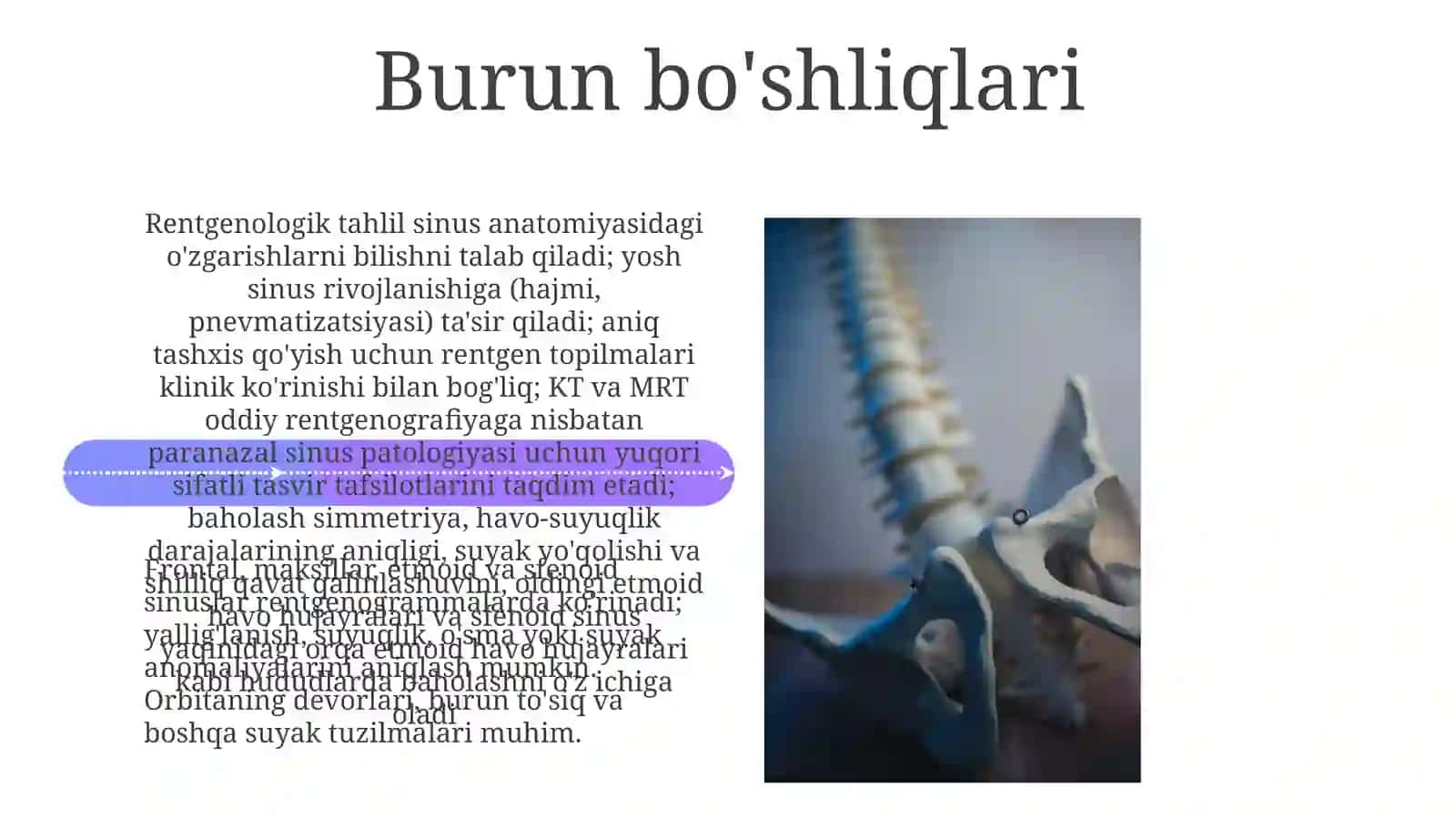 Kallasuyaginingrentgenanatomiyasi 4