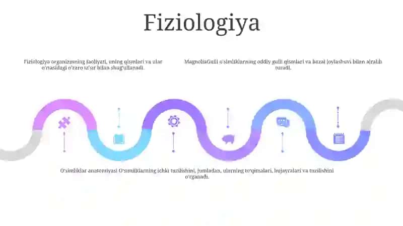 Anatomiya 4