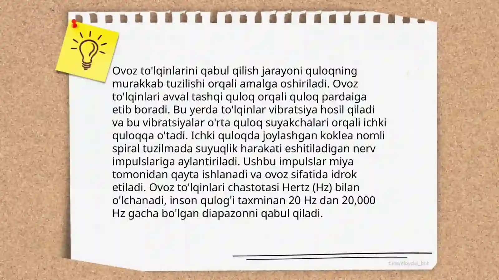 Eshitish analizatori tizimi 4