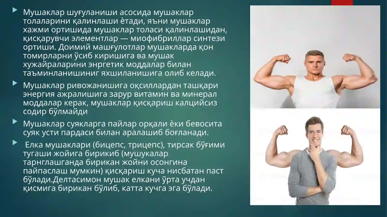 Jismoniy Yuklamalar Ta'sirida Organizmdagi O'zgarishlar 4