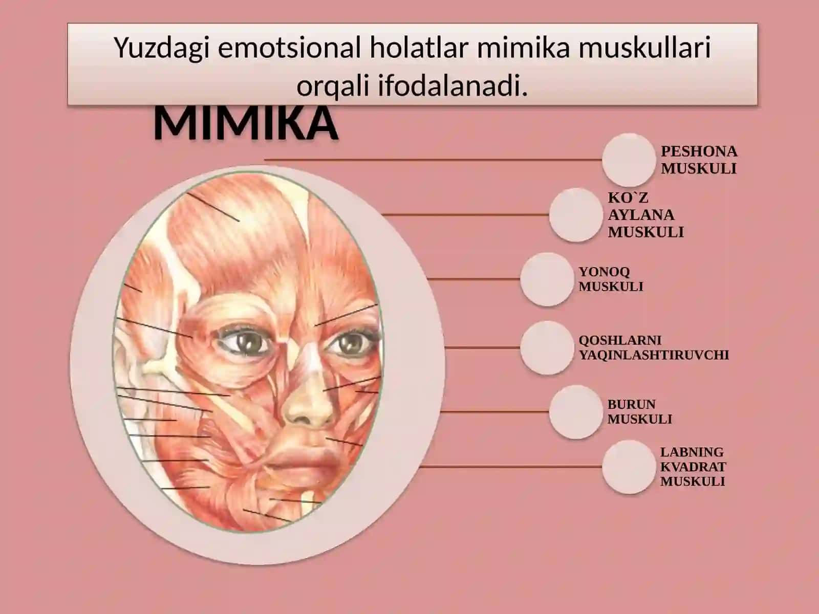 Hissiyotvauningboshqarilishi’ 4