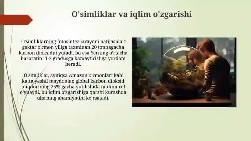Oʻsimliklarning inson va biosferadagi tutgan oʻrni 4