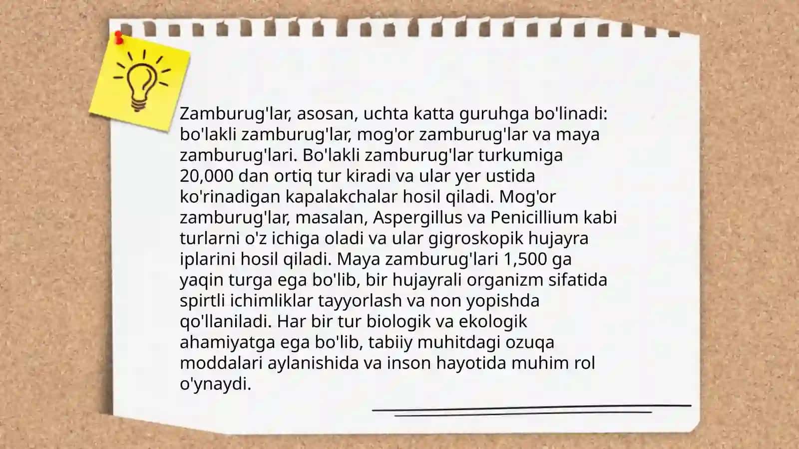Zamburuģlar dunyosi 4