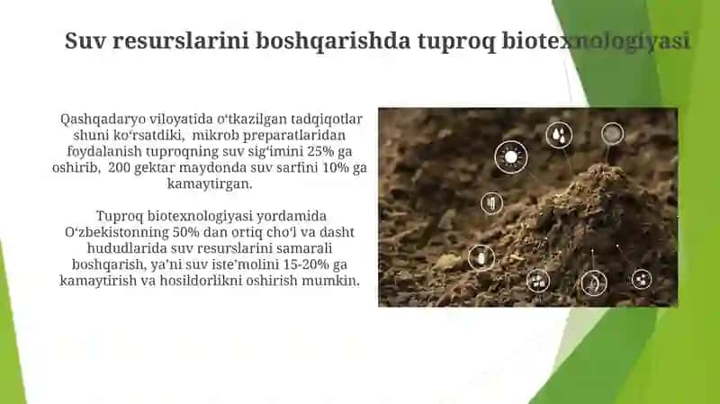 Tuproq Biotexnologiyasi 4