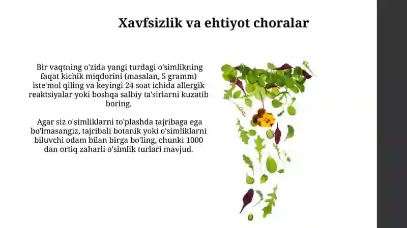 Dorivor õsimliklar 4
