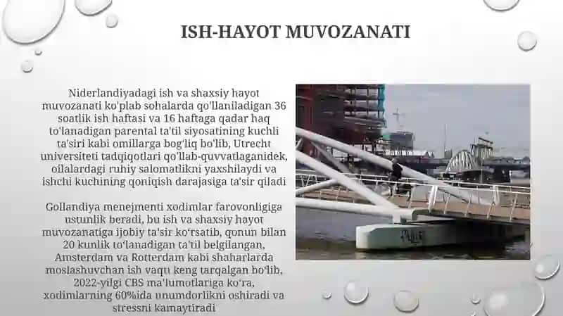 Gollandiya menejmenti 4