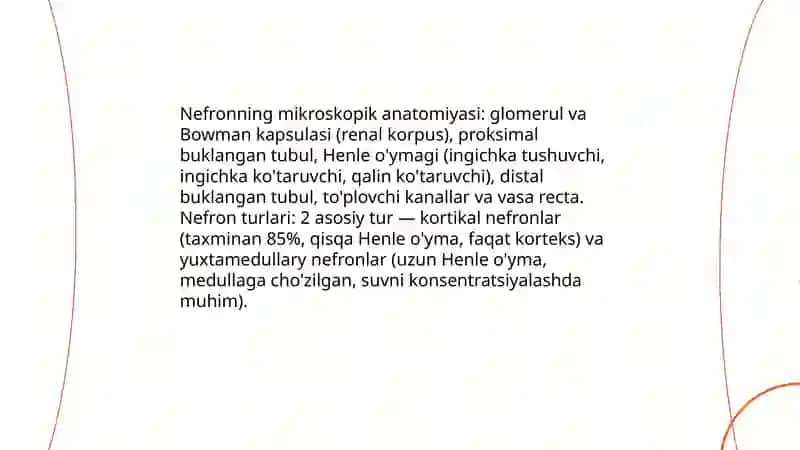 Buyrak va siydik chiqarish tizimining AFX 4