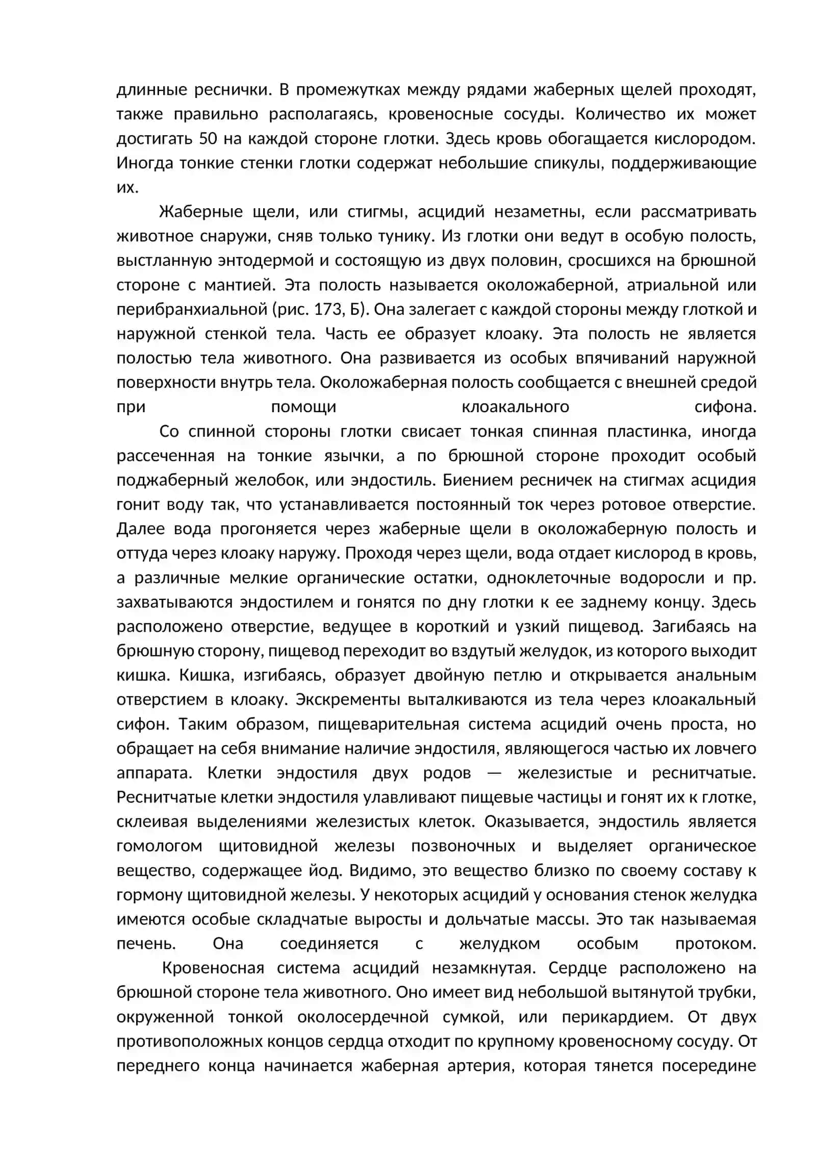 ТИП ОБОЛОЧНИКИ (TUNICAТА) 4