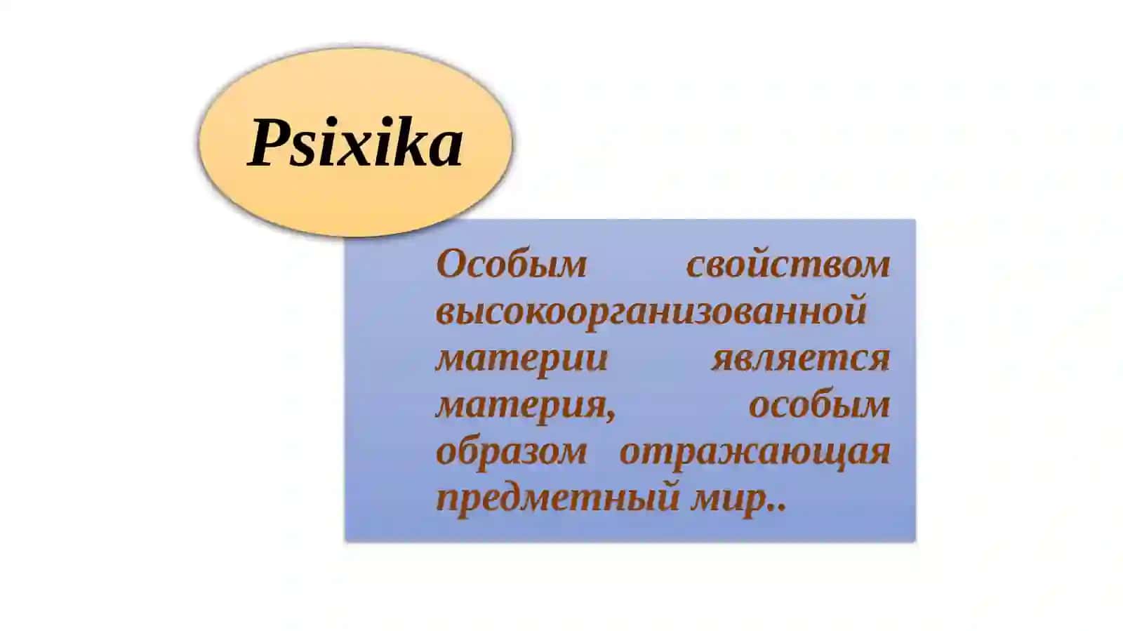 Психофизиологические основы поведения 4