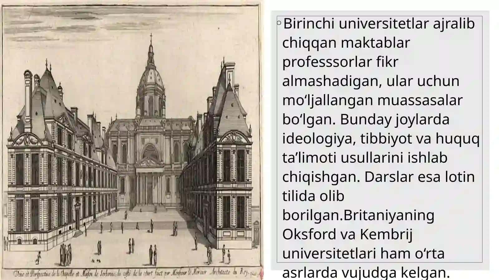 Dastlabki universitetlarning vujudga kelishi 4