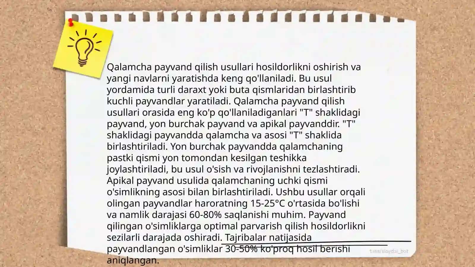 O'simliklarni qalamcha payvand qilish 4