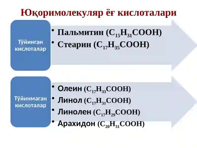 Липидлар 4