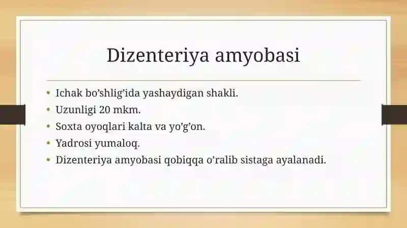 Dizenteriya amyobasi 4