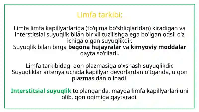 Limfa gistalogiyasi 4