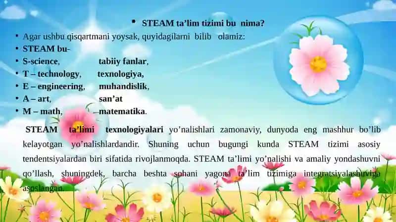 Steamta’limi.Darsandozasivarejasi 4
