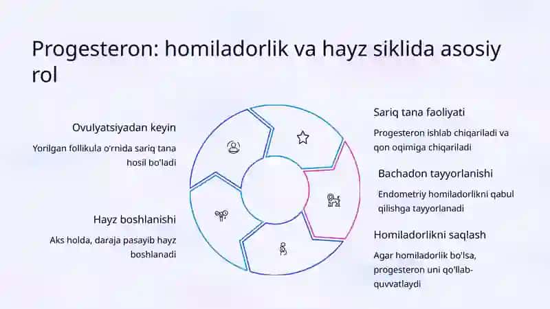 Ayol jinsiy gormonlari 4