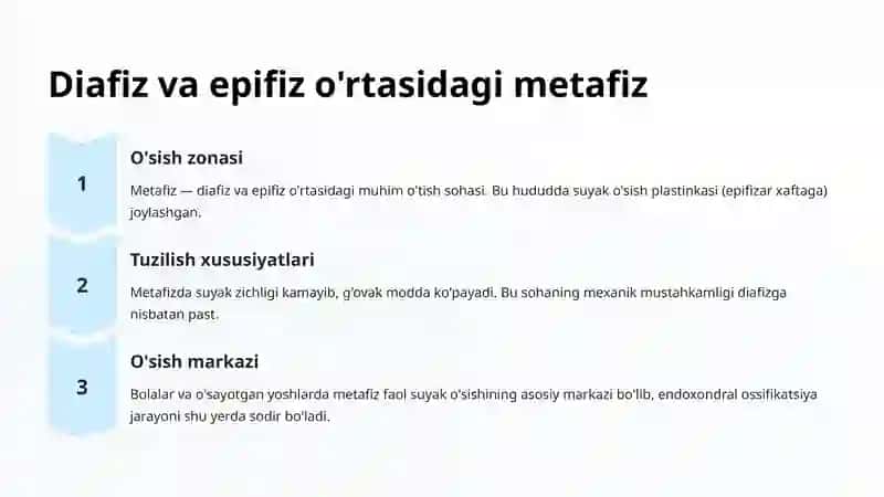 Son suyaklari va uning epifizlari 4