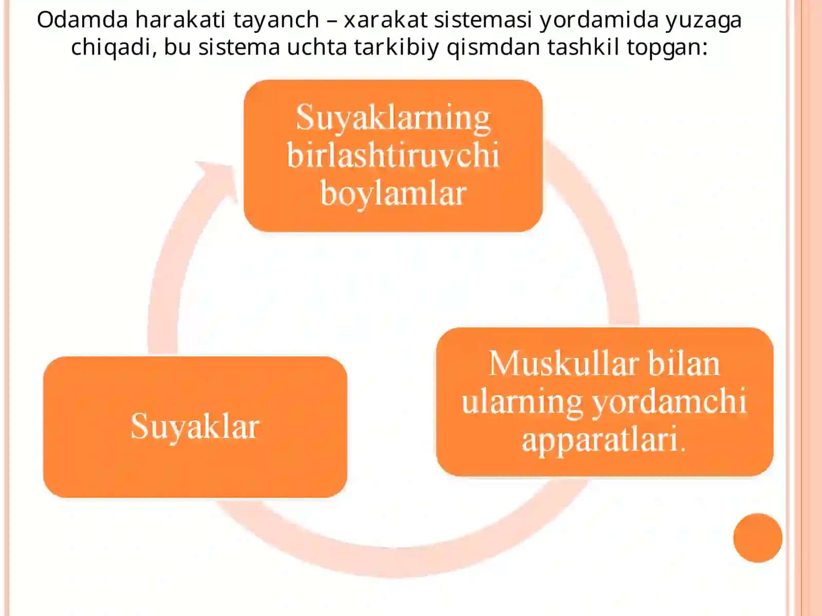 TAYANCH – HARAKAT A’ZOLARI SISTEMASI 4