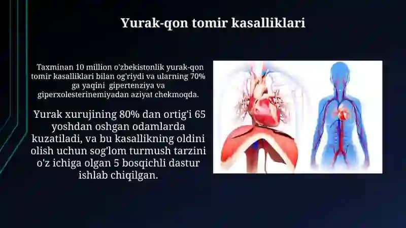Yurak va qon tomirlar sistemasi 4