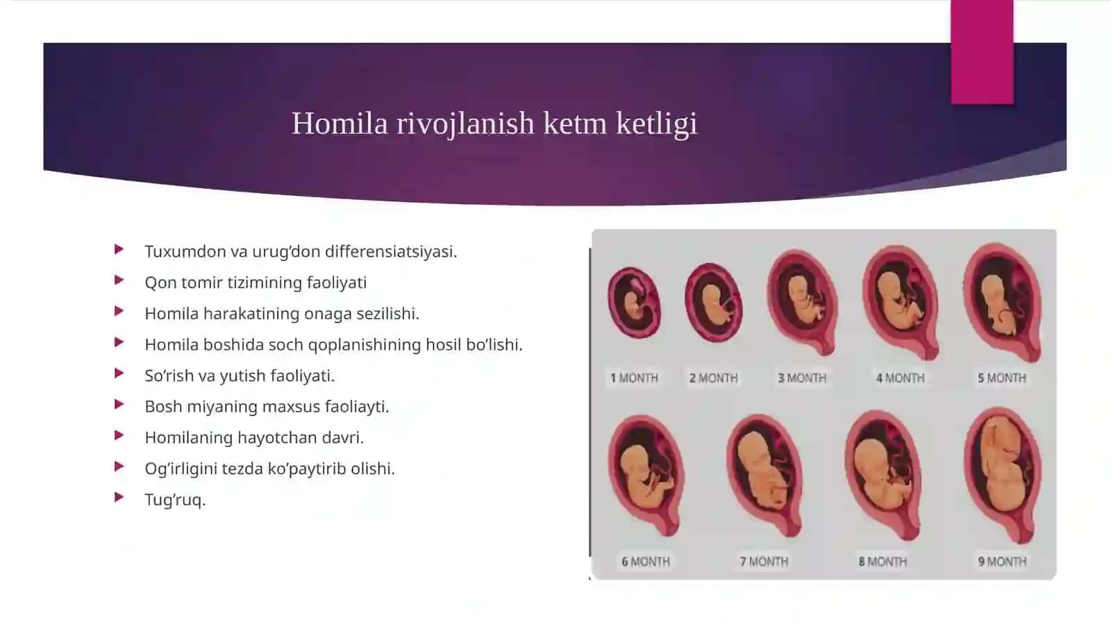 Perinatal psixologiyaning asosiy muammolari 4