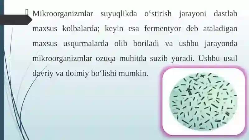 Mikroorganizmlarni o’stirish 4