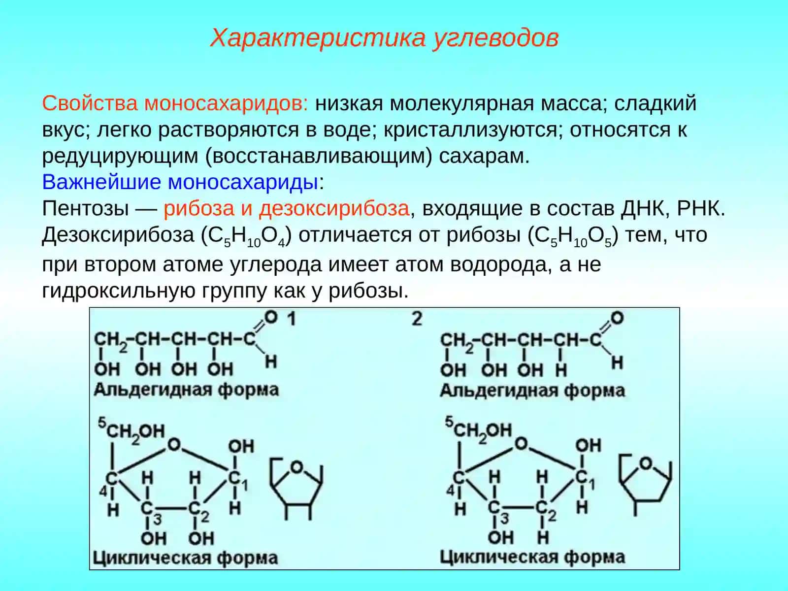 Характеристика углеводов 4