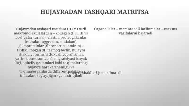 Hujayra va organellalarning morfologik jihatdan tuzulmaviy asosi 4