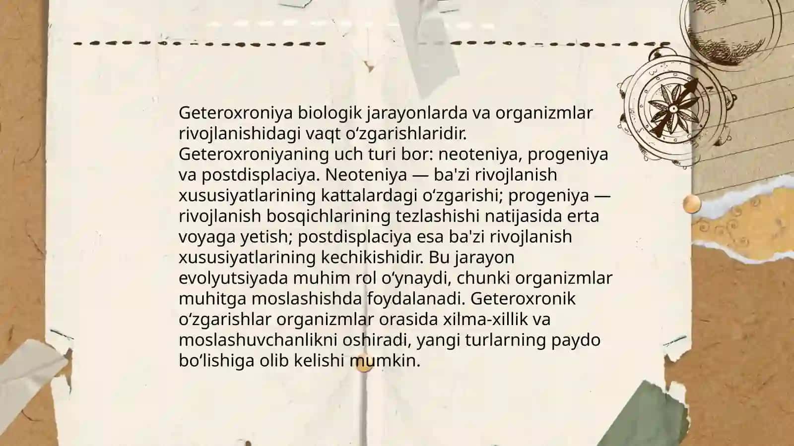 O‘sish va rivojlanish geteroxroniyasi 4