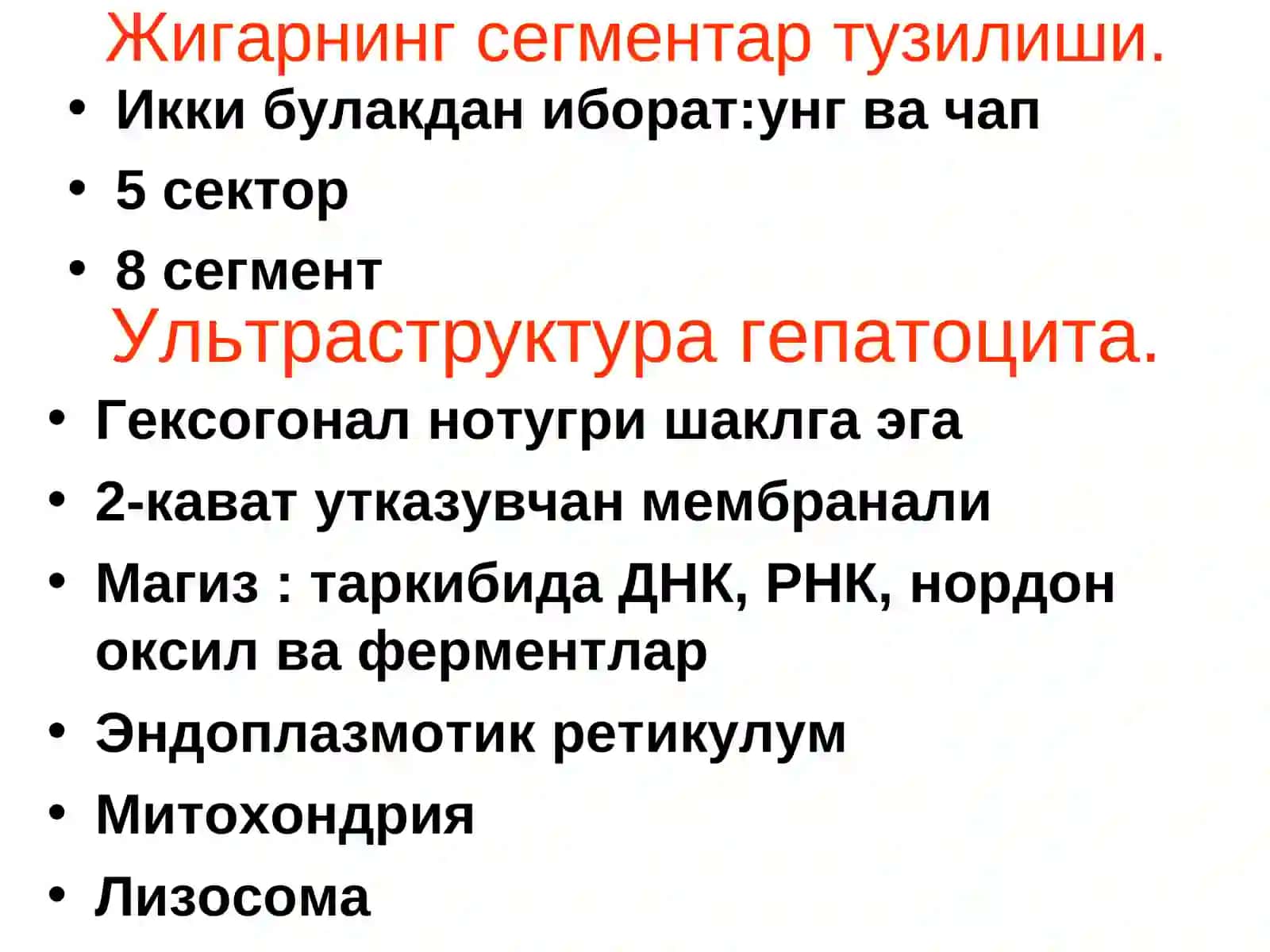 Жигар анатомиями 4