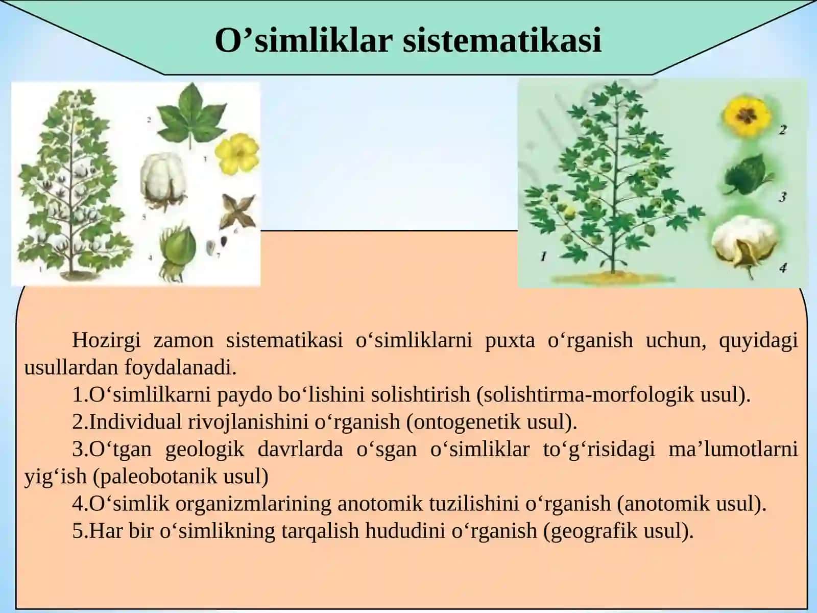 O’zbekistonda o’simliklar qoplarini o’rganish 4