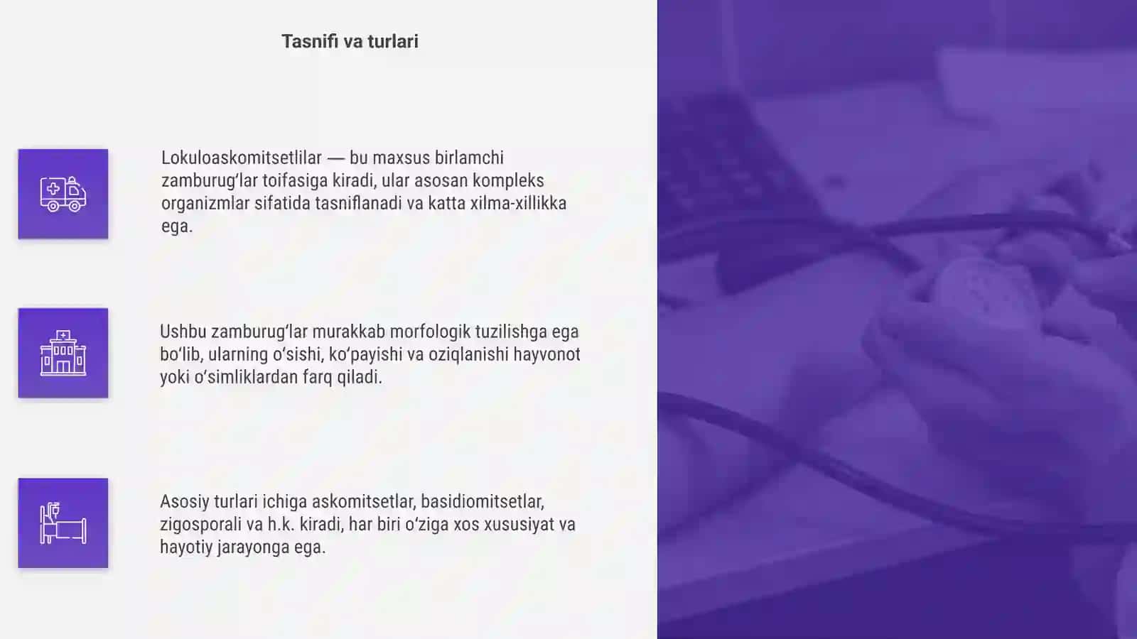 Lokuloaskomitsetlilar 4