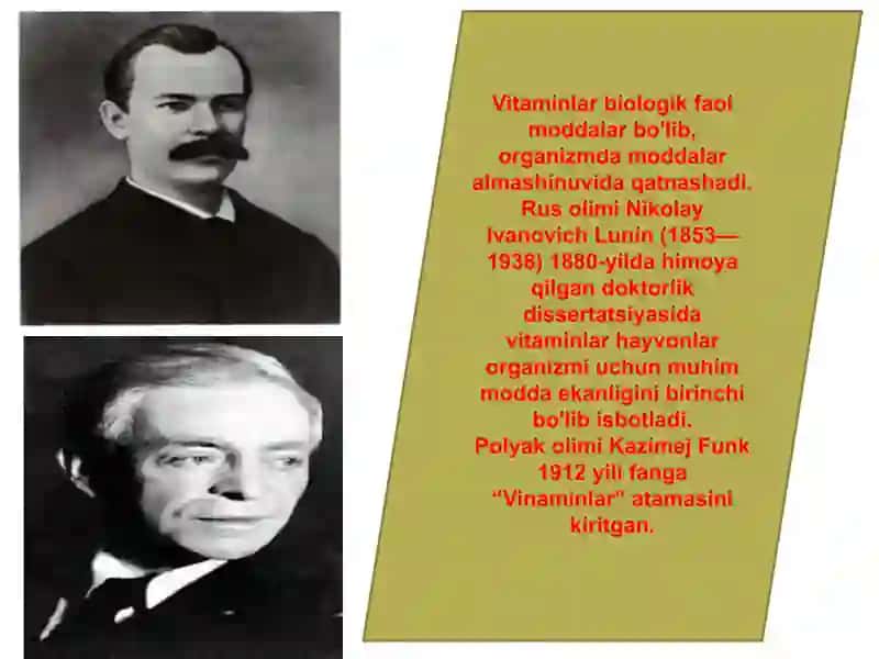 Vitaminlar va ularning ahamiyati 4