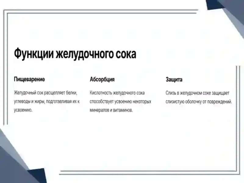 Самостоятельная работа по биохимии 4