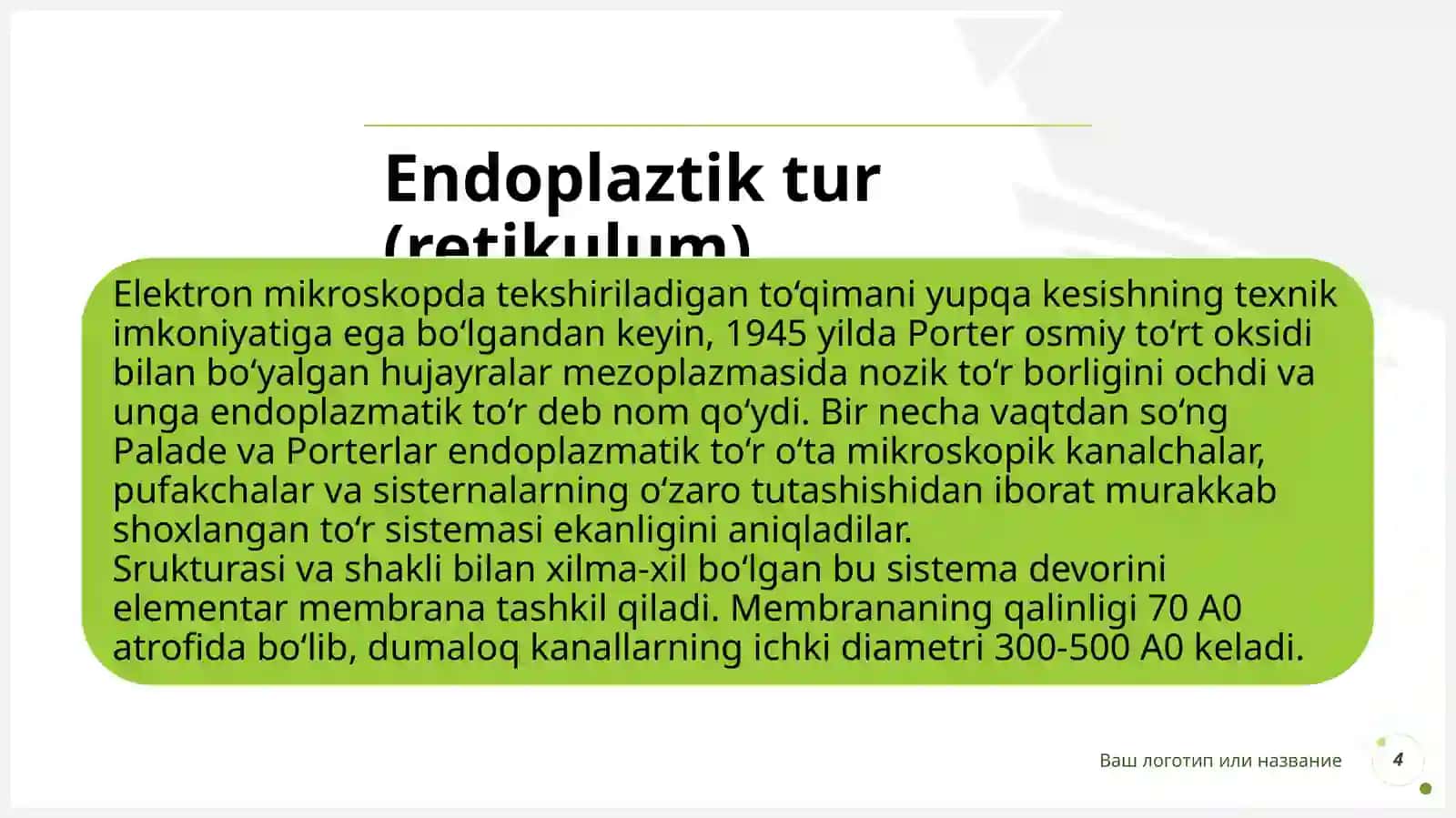 Bir membranali organoidlar 4