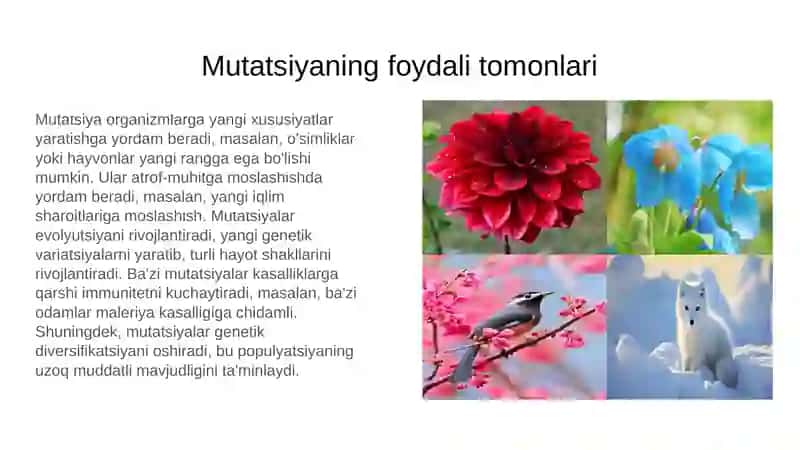 Mutatsiya Zararlimi? 4