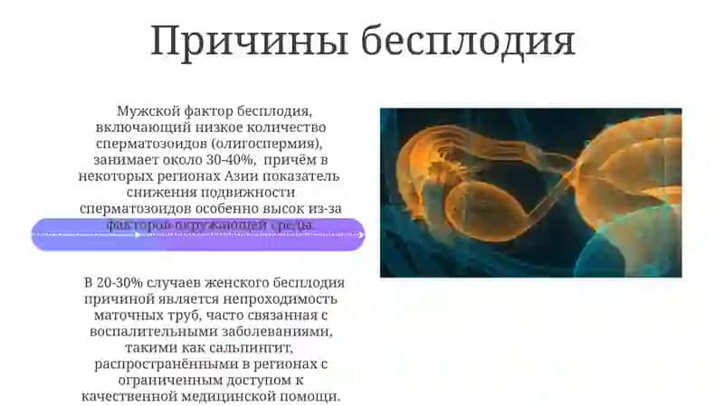 Поддержка и планирование семьи 4