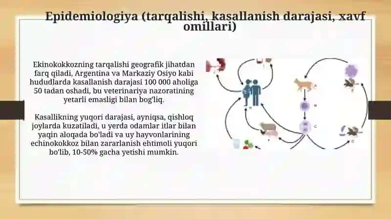 Ekinokokkozepidemiologiyasi, profilaktikasi va epidemiyaga qarshi chora-tadbirlar 4