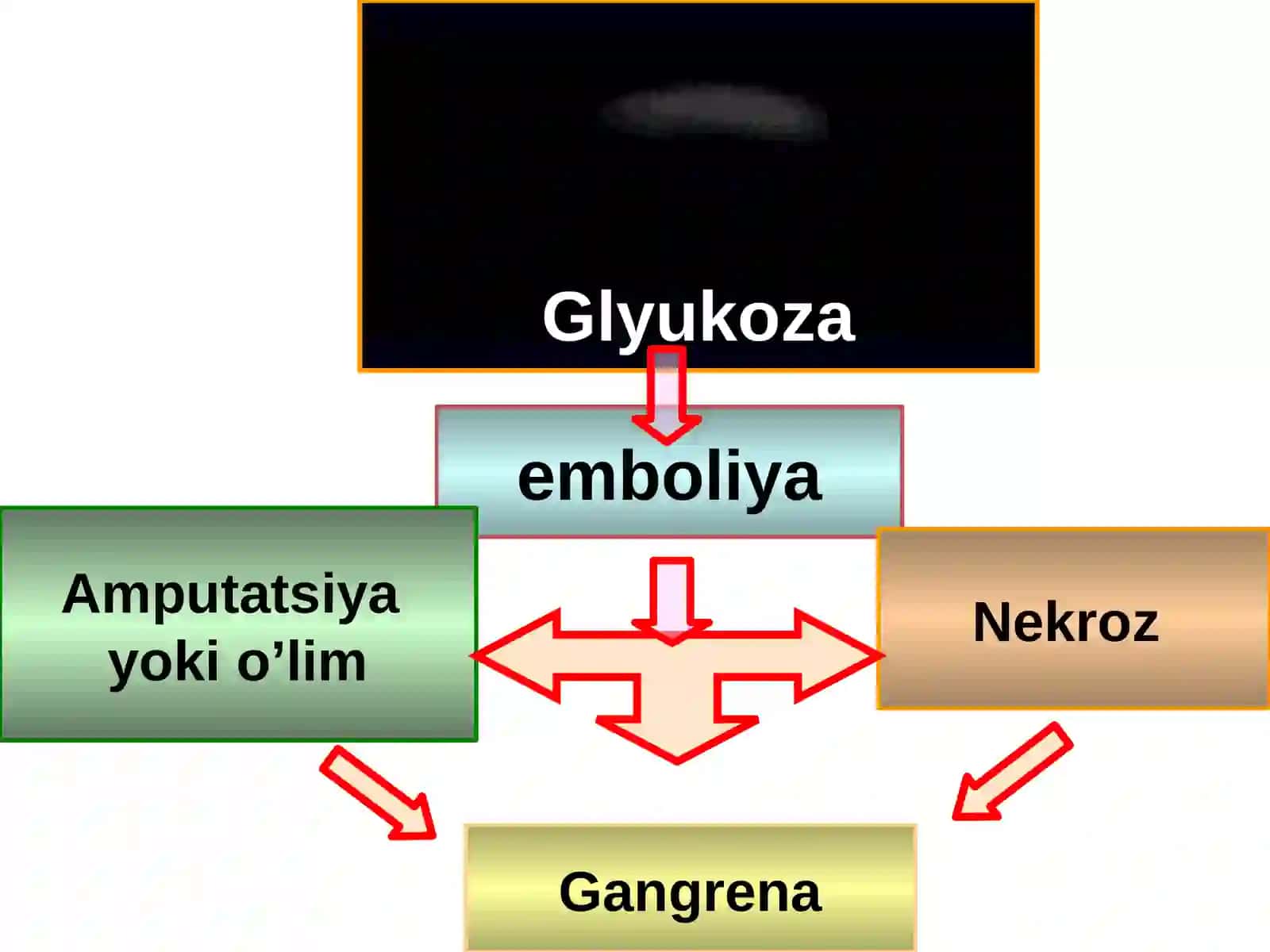 203-aguruhtalabasi 4